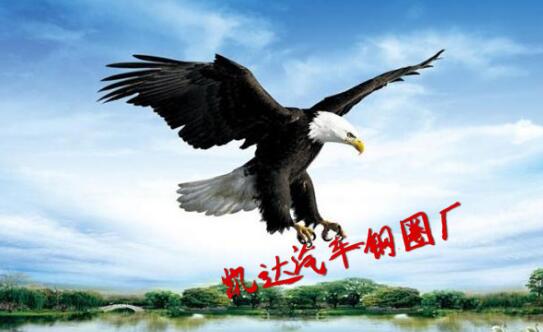 山東凱達(dá)汽車鋼圈廠 山東凱達(dá)汽車鋼圈廠